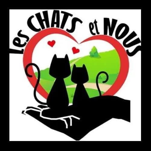 Les chats et nous