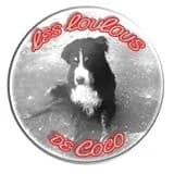 Les Loulous de Coco