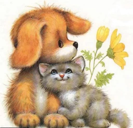 Association Catalane de Protection Animale