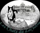 Les Chats du Lacydon