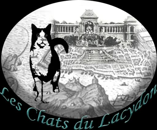 Les Chats du Lacydon