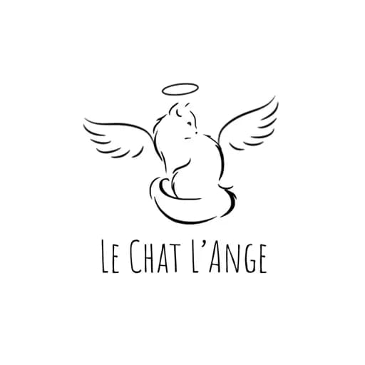 Le chat l'ange