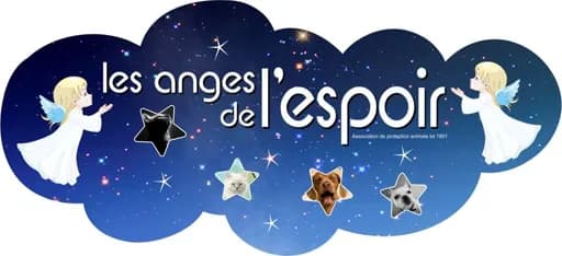 Les anges de l'espoir