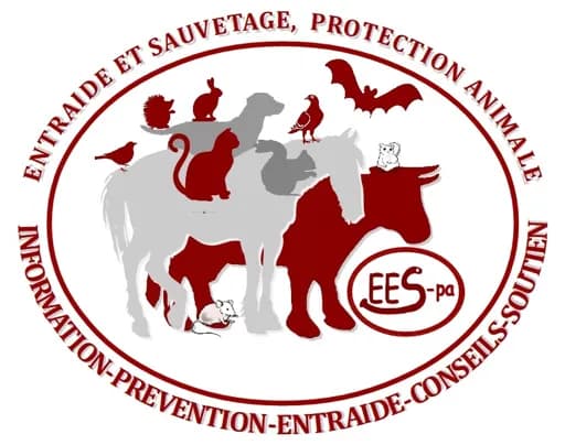 ENTRAIDE et SAUVETAGE - protection animale