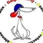 Galgo Liberty