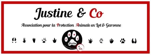 Justine & Co