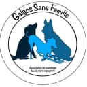 Galgos sans Famille