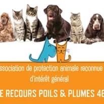Le recours poils et plumes 46