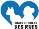 Chats et Chiens des Rues