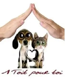 1 toit pour toi