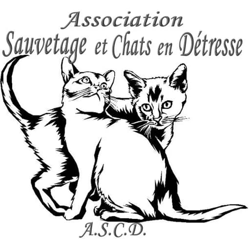Sauvetage et Chats en Détresse