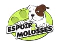 Espoir de Molosses