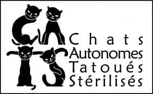 Chats Autonomes Tatoués Stérilisés
