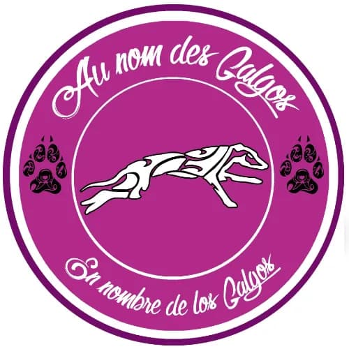Au Nom des Galgos