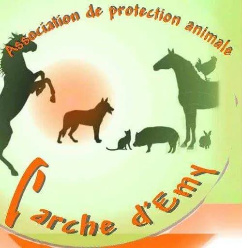 L' Arche d'Emy