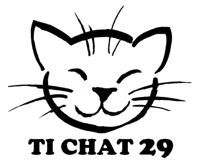 Ti Chat 29