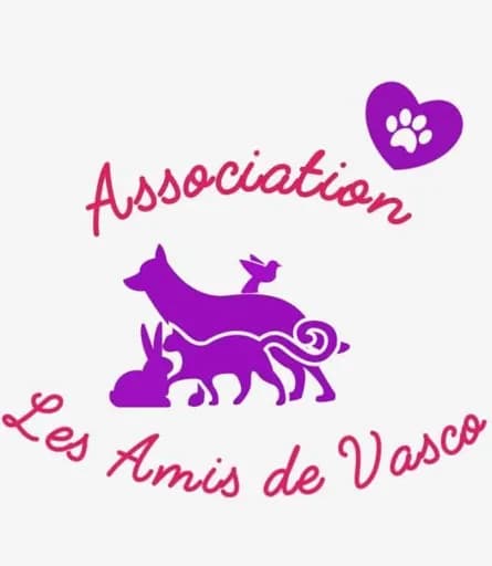 Les amis de Vasco