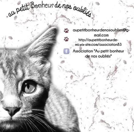 Au petit bonheur de nos oubliés