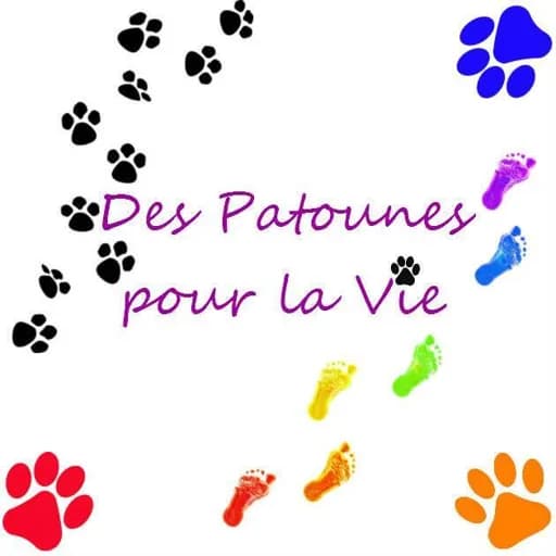 Des patounes pour la vie