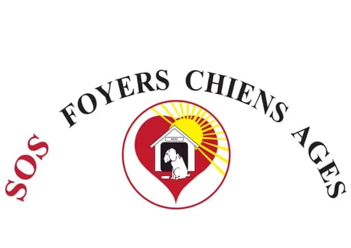 SOS Foyers chiens âgés