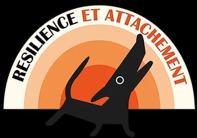 Résilience et Attachement
