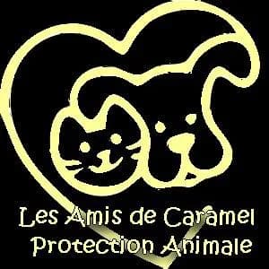Les Amis de Caramel PA