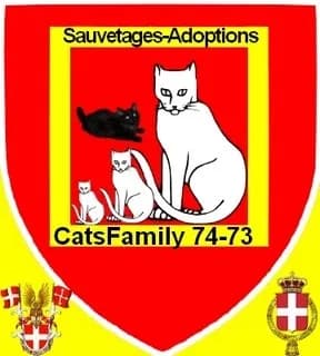 Catsfamily 74 & 73