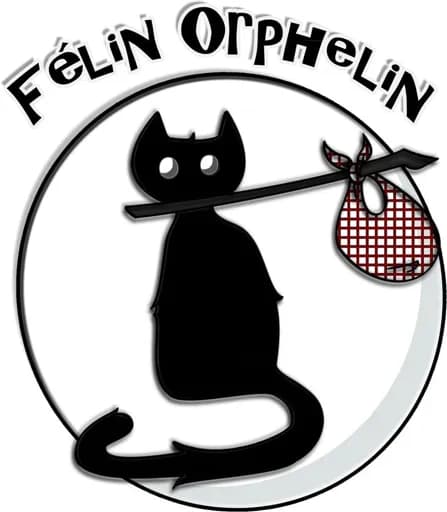 Félin Orphelin - 52