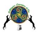 Celtiques levriers et cie