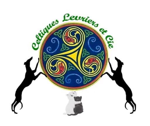 Celtiques levriers et cie