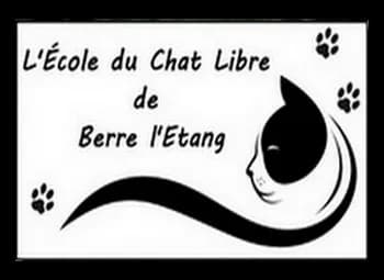 L'Ecole du chat libre de Berre l'Etang