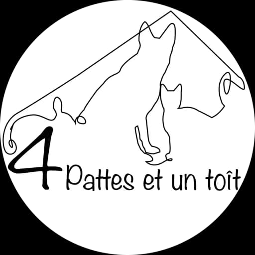 4 Pattes Et Un Toît