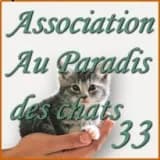 Au paradis des chats 33
