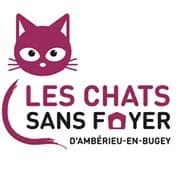 Les chats sans foyer d'Ambérieu en Bugey