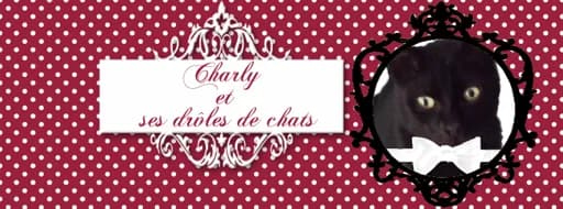 Charly et ses drôles de chats