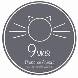 9 vies