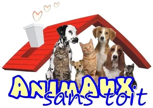 Animaux sans toit