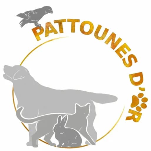 Pattounes d'or