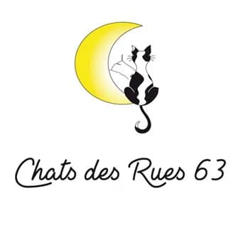 Chats des rues 63