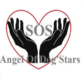 SOS Angel Of Dog'Stars
