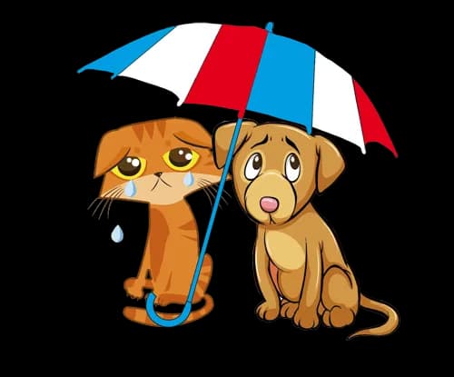 Solidarité Animaux en Détresse 06