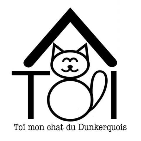 Toi mon chat du dunkerquois