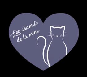 Les Chamits de la Mine