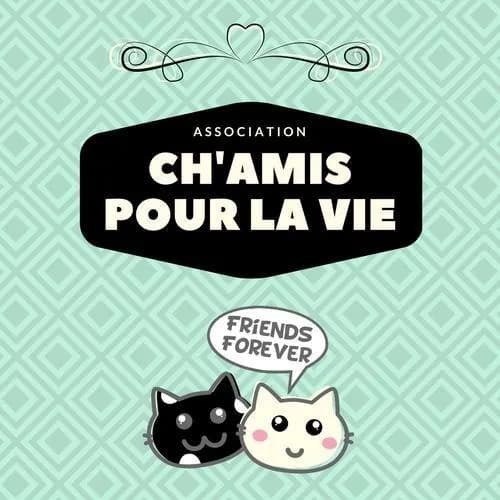 Ch'Amis Pour la Vie
