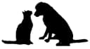Comme chat et chien