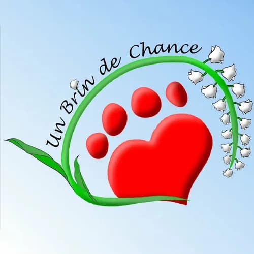 Un brin de chance
