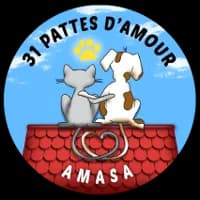 31 pattes d'amour - AMASA