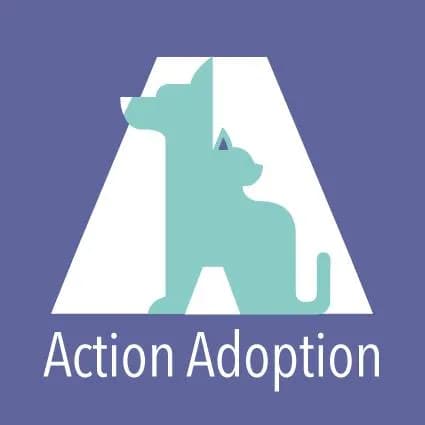Action Adoption
