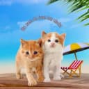 Au Nom de Tous les Chats