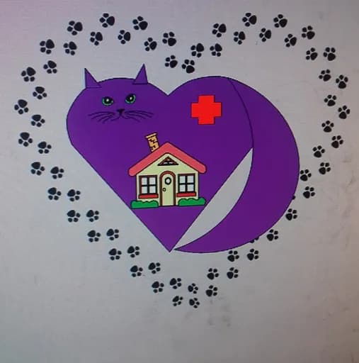 La maison des matouchats